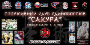Победы сборной Тамбовской области по Киокусин каратэ (Президент Бондаренко С.В.) на Открытом Кубке города Липецк посвященный "Дню Народного единства" по Синкекусинкай каратэ.